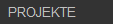 PROJEKTE